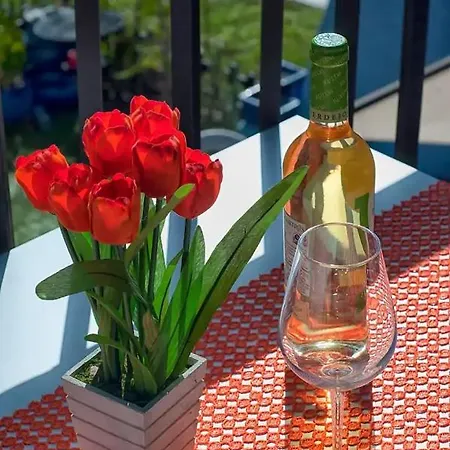 Piano * شتشيتسين